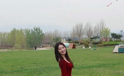 午夜dj在线观看免费完整视频大全